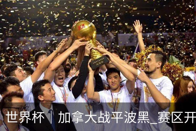 世界杯｜加拿大战平波黑 赛区开幕式表演“翻车”